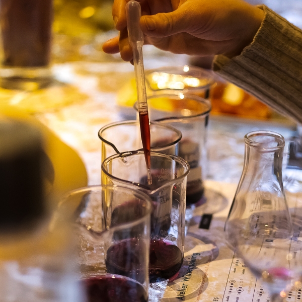 Visite Guidée avec dégustation de vin Premium 🇫🇷 - Caves du Louvre